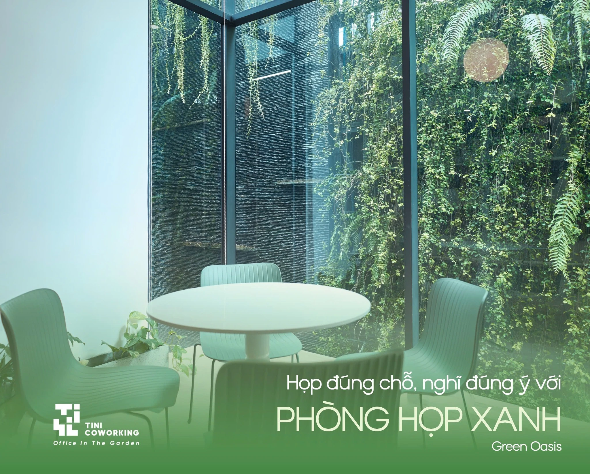 phòng họp xanh