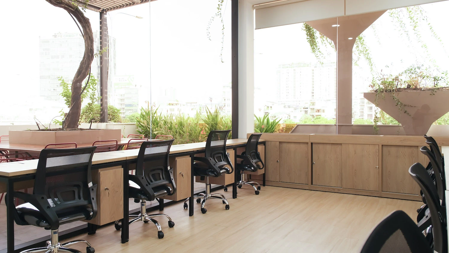 van phong tron goi 3