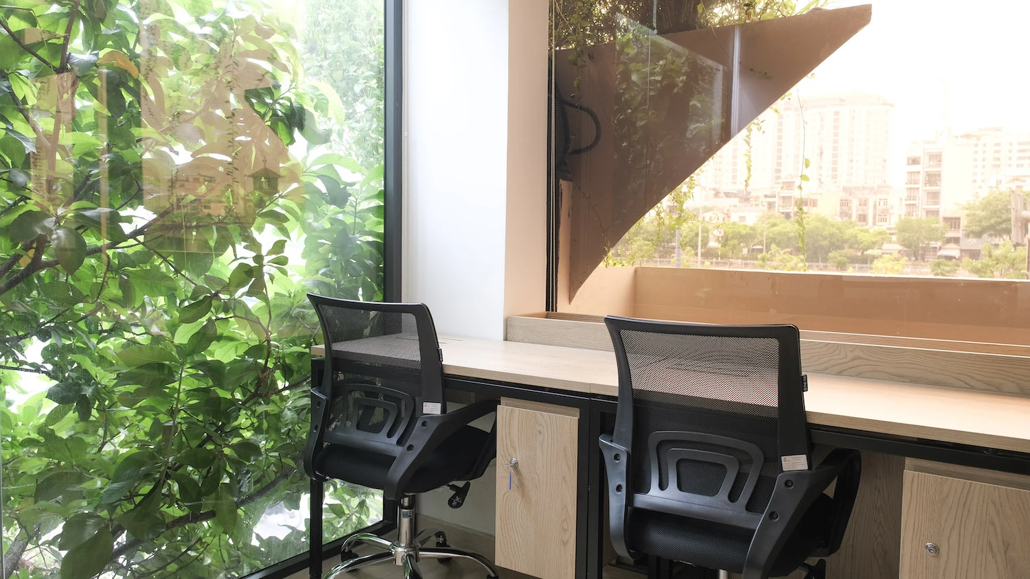 van phong tron goi11