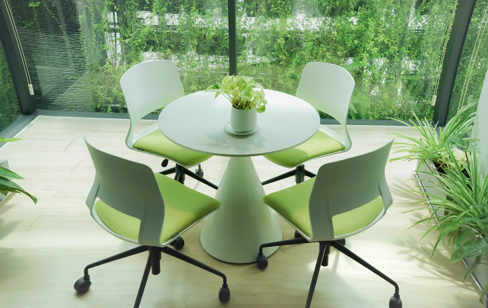 dich vu phong hop tini coworking