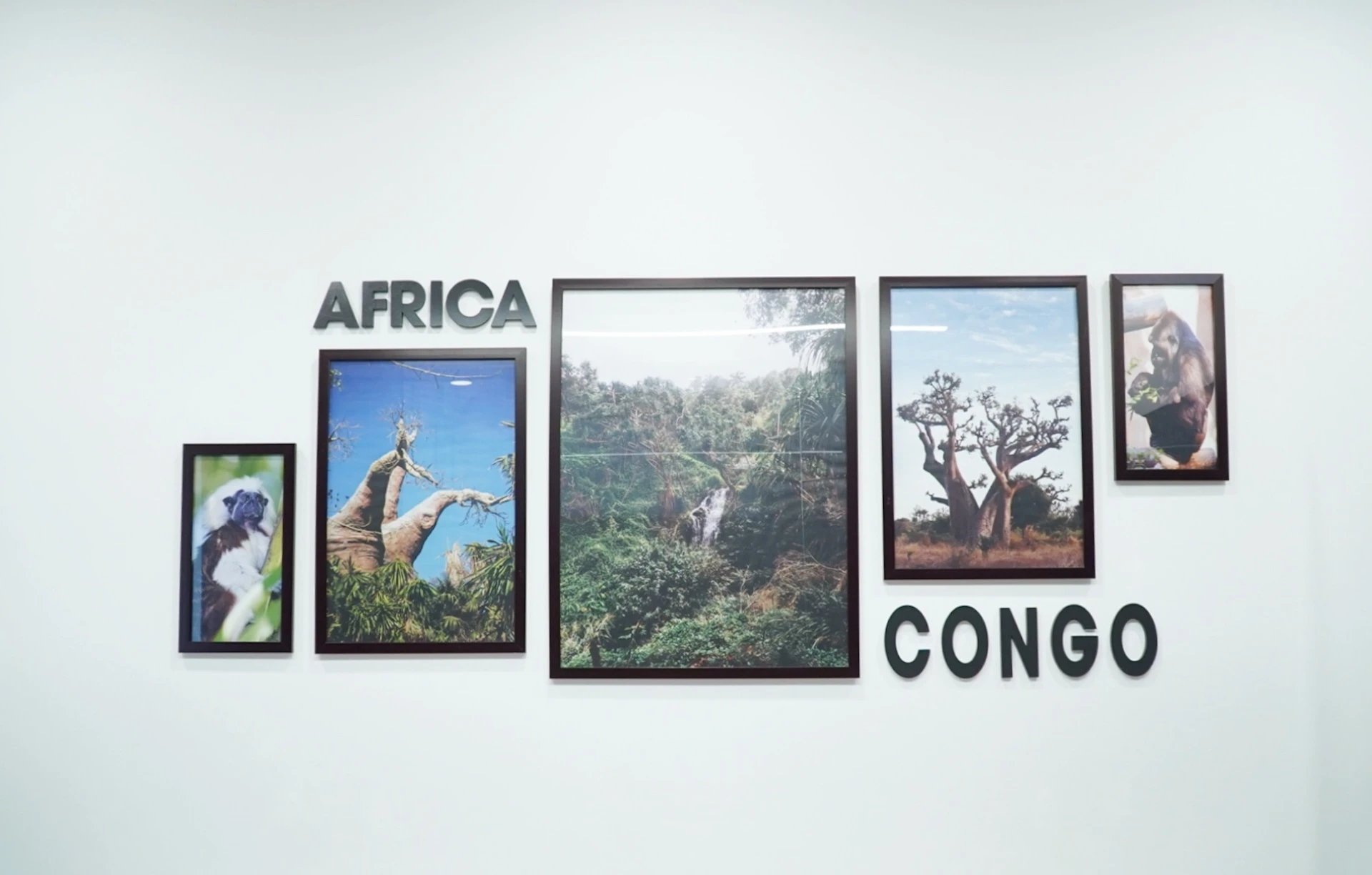 dich vu phong hop tini coworking