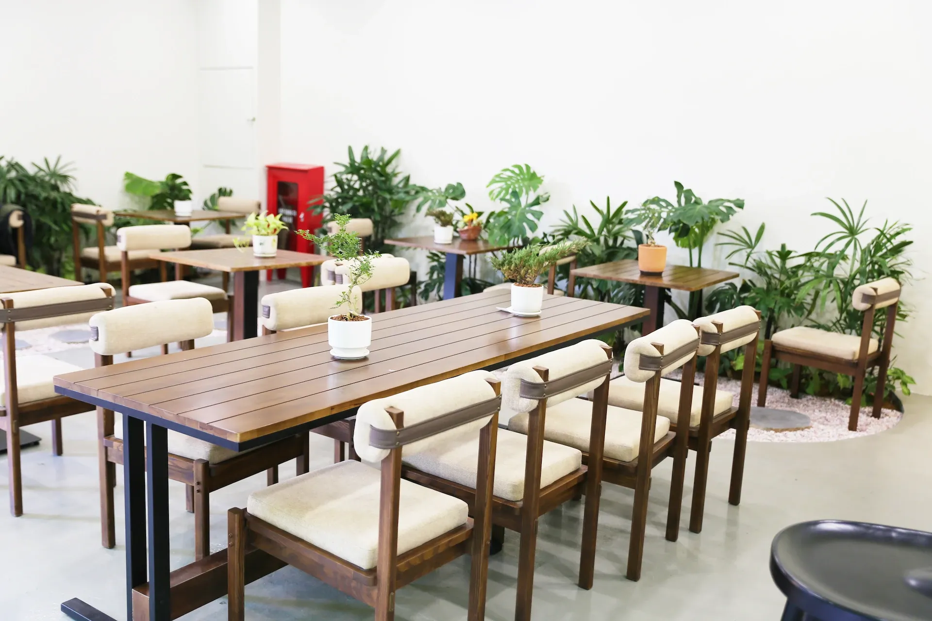 Cowoking vs Working Space Coffee