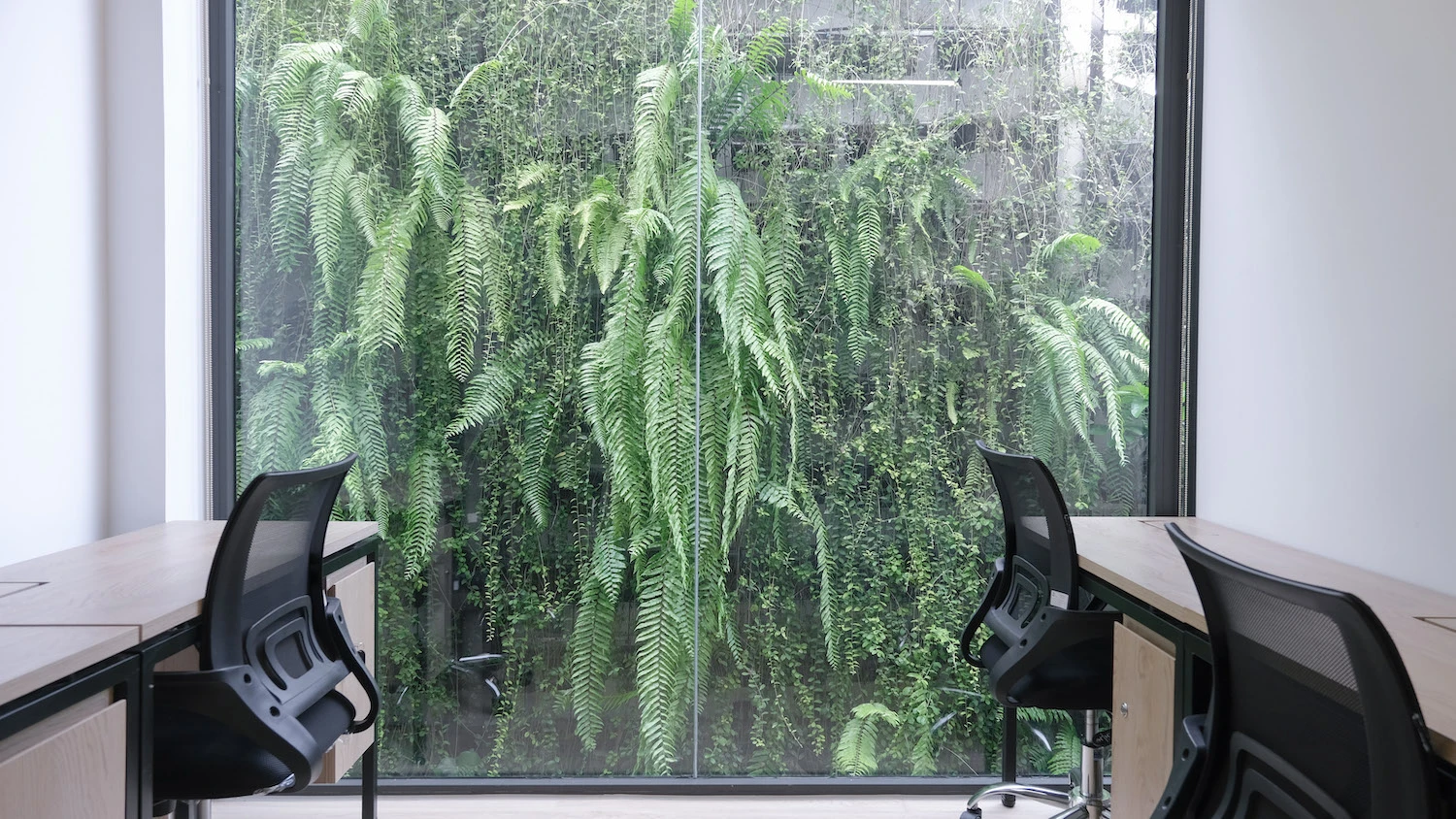 van phong tron goi tini coworking