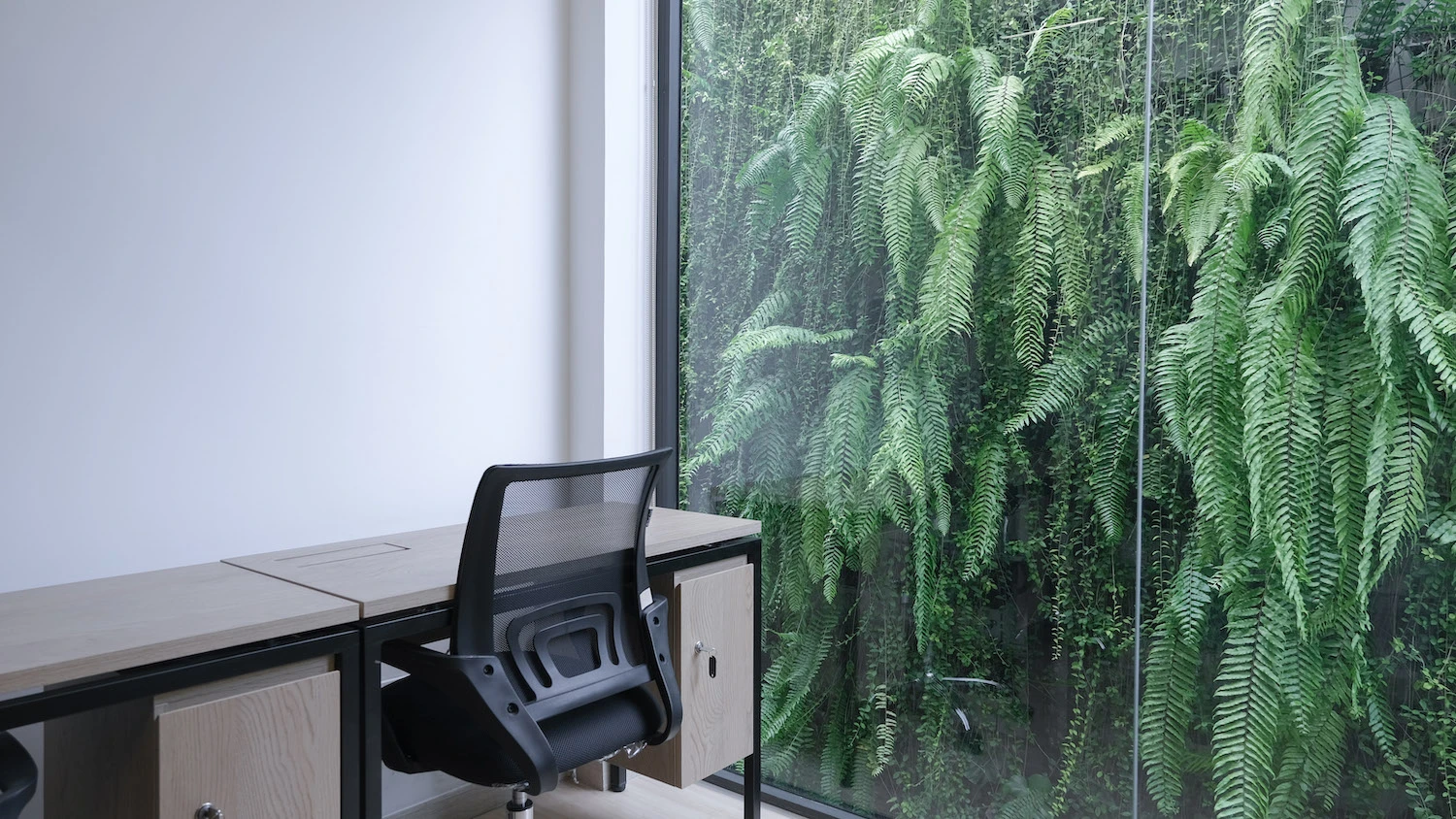 Coworking Space là gì? Tất Tần Tật Về Mô Hình Coworking 3 van phong tron goi tini coworking 99