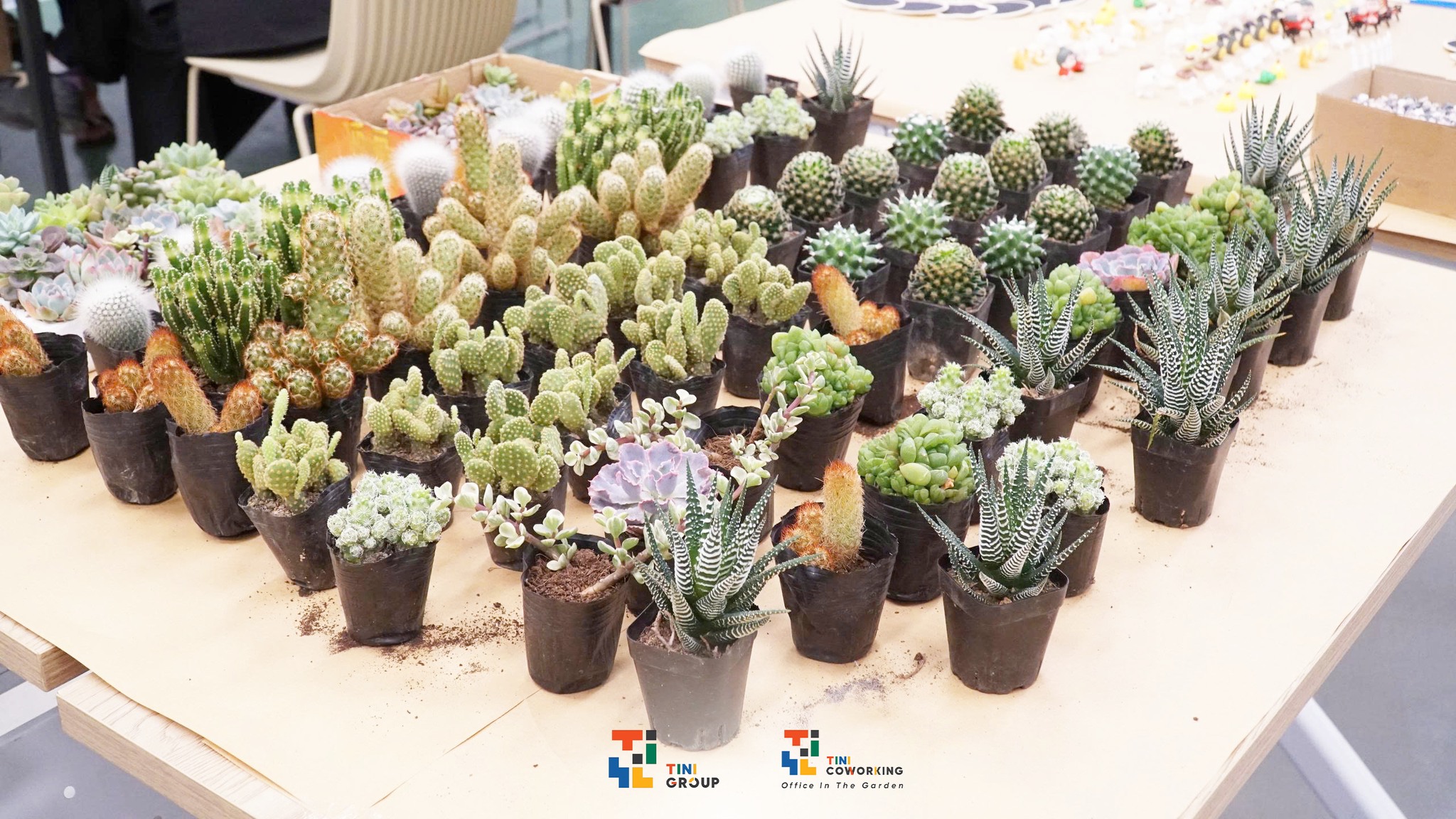 Thuê địa điểm tổ chức workshop TP HCM: gợi ý không gian phù hợp